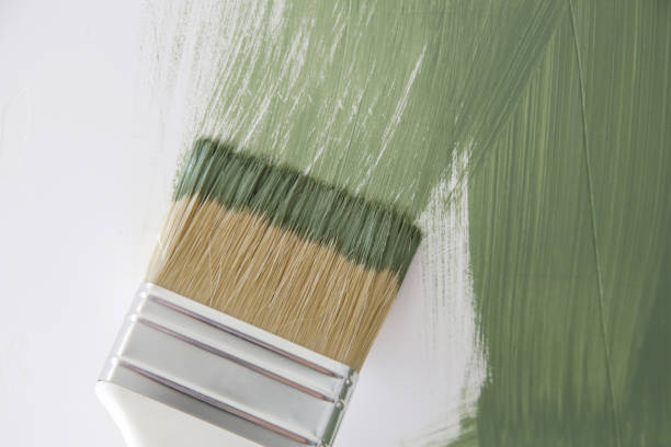 Professional Mold Removal in Accokeek, MD