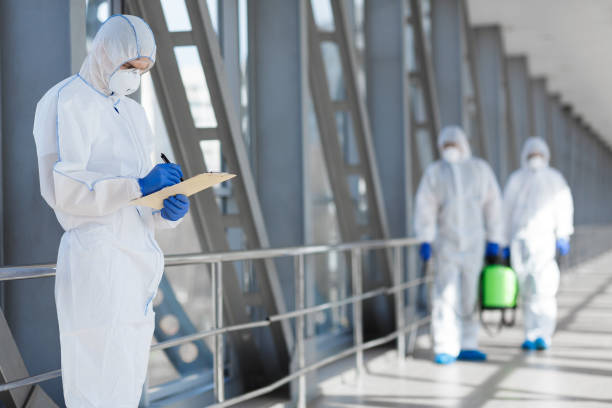 Best Basement Mold Removal  in Accokeek, MD