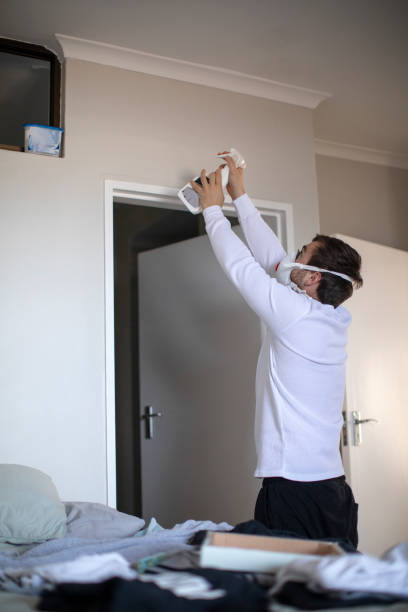 Best Water Damage & Mold Remediation  in Accokeek, MD