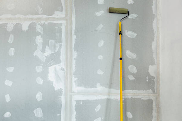 Mold Documentation for Insurance Claims in Accokeek, MD