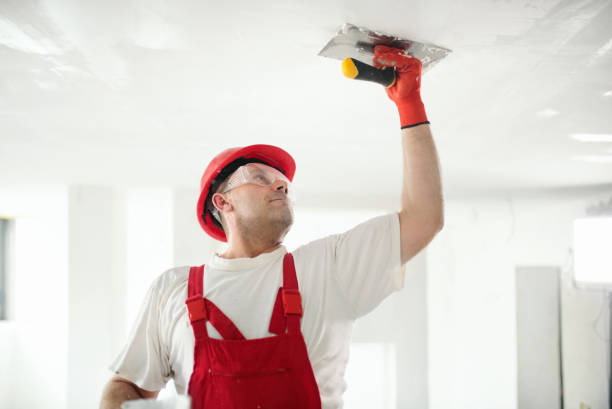 Best Mold Odor Removal Services  in Accokeek, MD