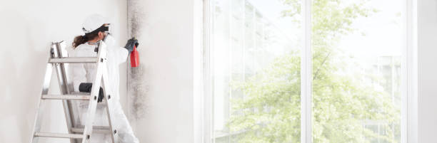 Best Forensic Mold Investigation  in Accokeek, MD