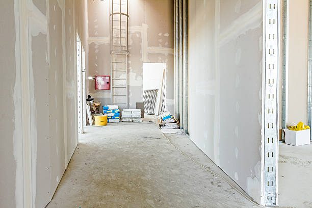 Best Residential Mold Inspection & Testing  in Accokeek, MD